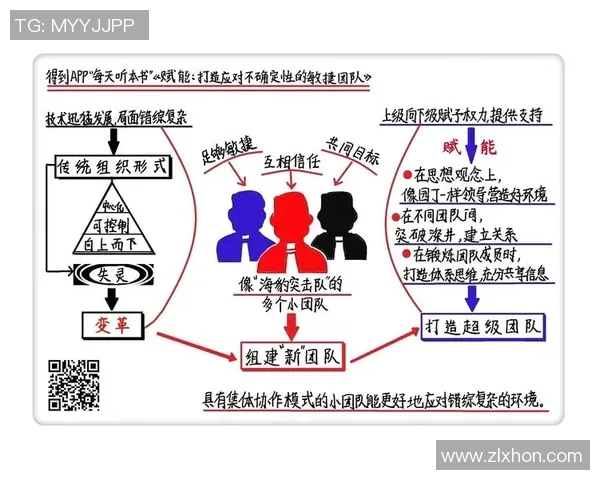 从零起步打造篮球团队协作的全方位指南与实战技巧分享